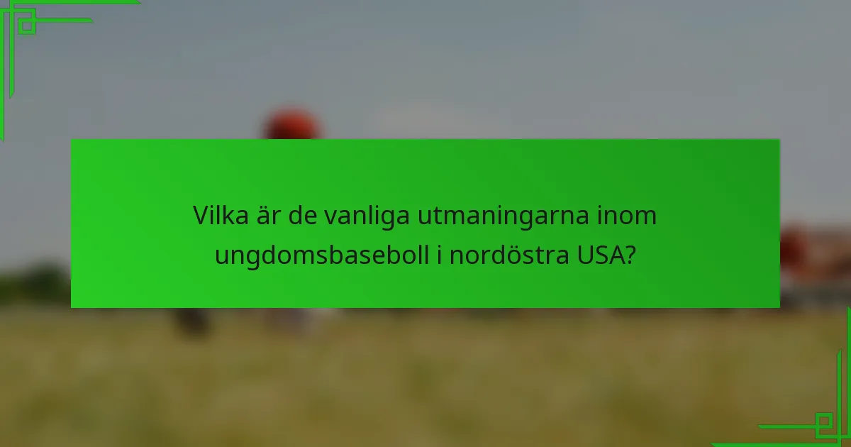 Vilka är de vanliga utmaningarna inom ungdomsbaseboll i nordöstra USA?